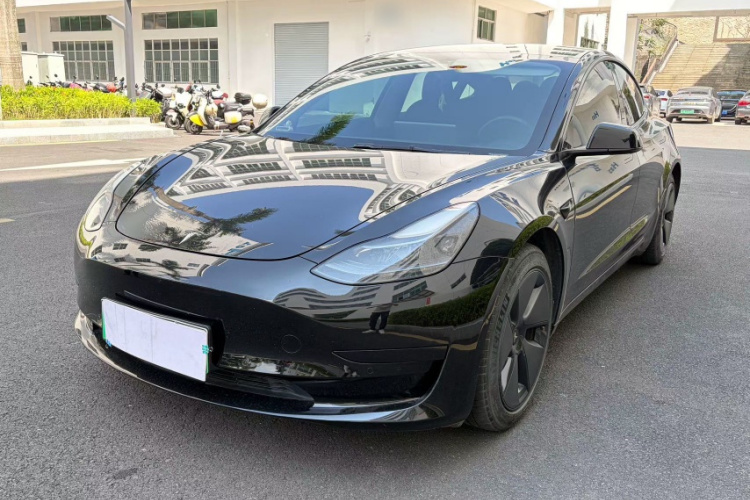 Tesla Model 3 2021 car image #2