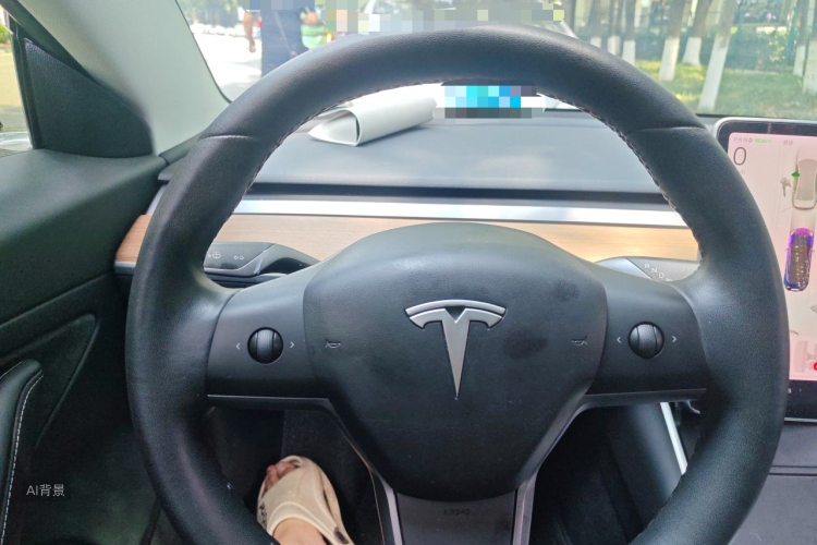Tesla Model 3 2020 car image #13