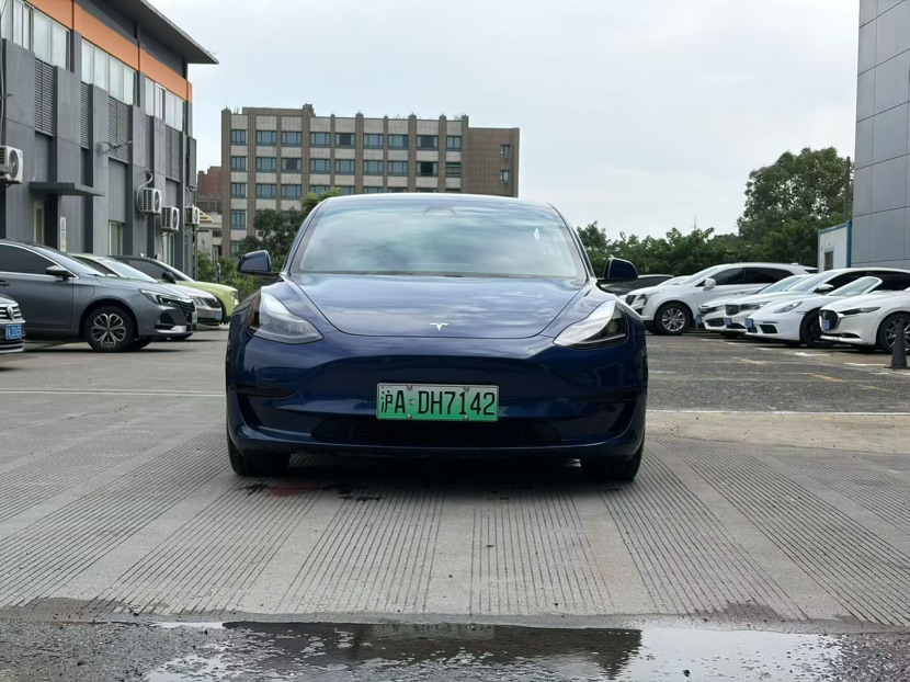 Tesla Model 3 2021 immagine di auto #2