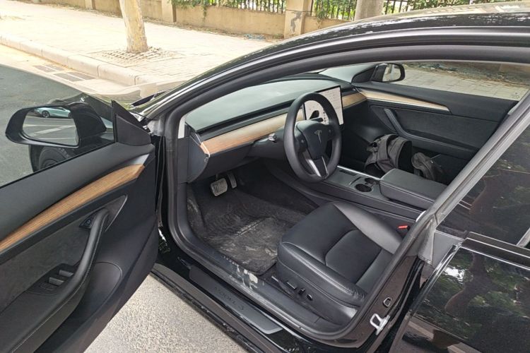 Tesla Model 3 2021 car image #16