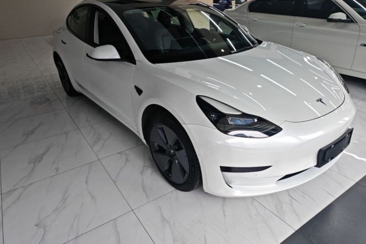Tesla Model 3 2021 #4 Tesla Model 3 2021 car image #4