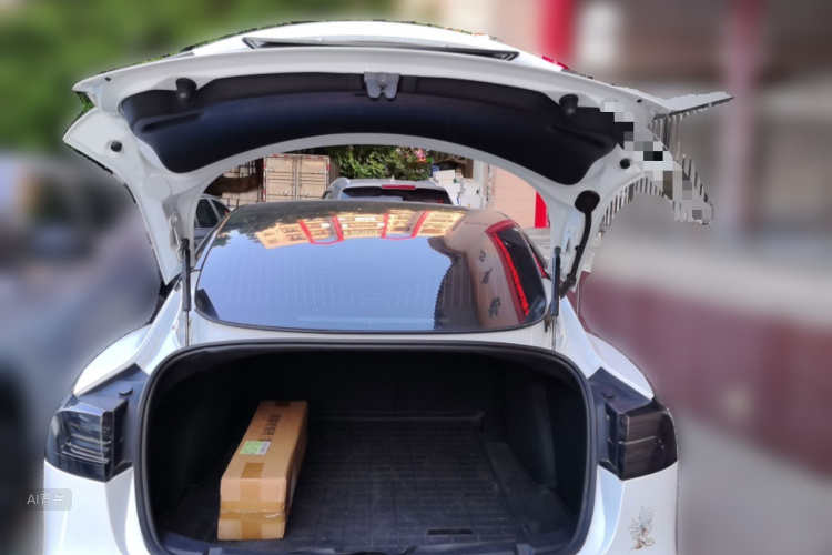 Tesla Model 3 2020 imagem de carro #21