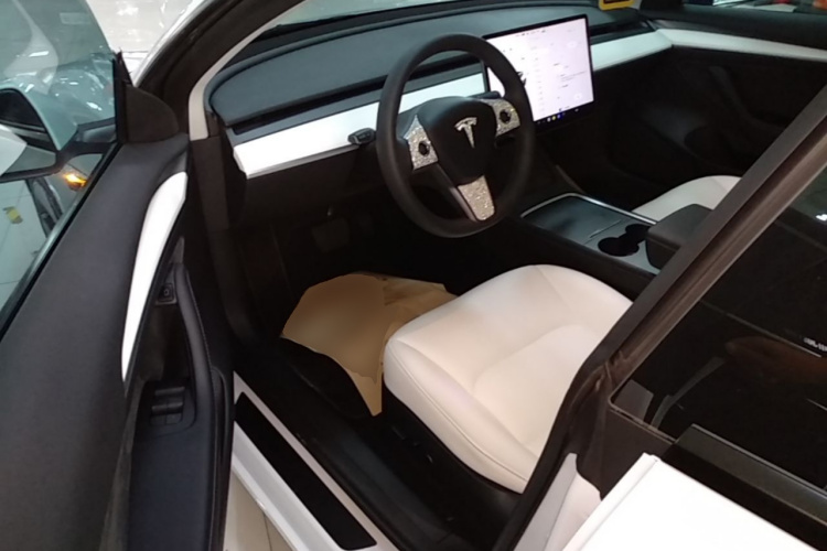 Tesla Model 3 2021 #15 Tesla Model 3 2021 car image #15