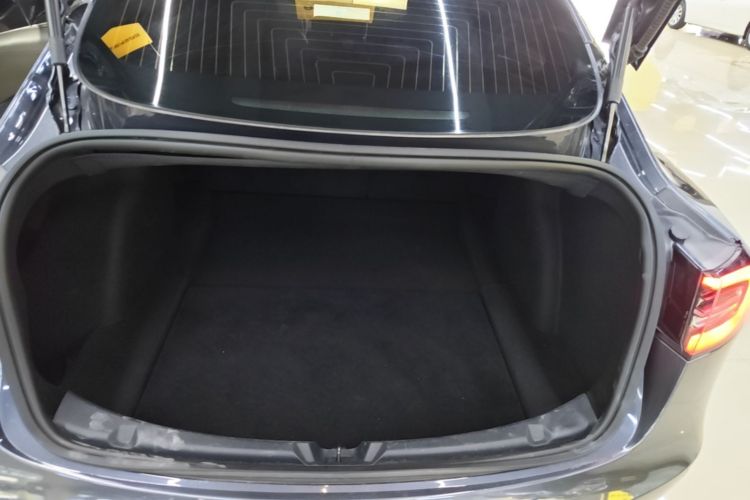 Tesla Model 3 2020 car image #19