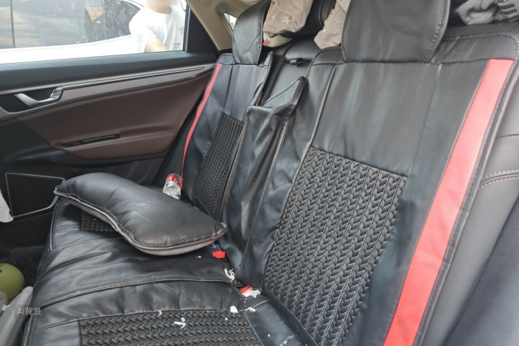 GEELY Emgrand GL 2019 car image #19