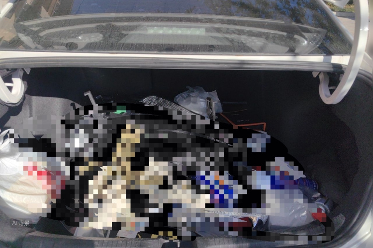 Volkswagen Lavida 2019 car image #21