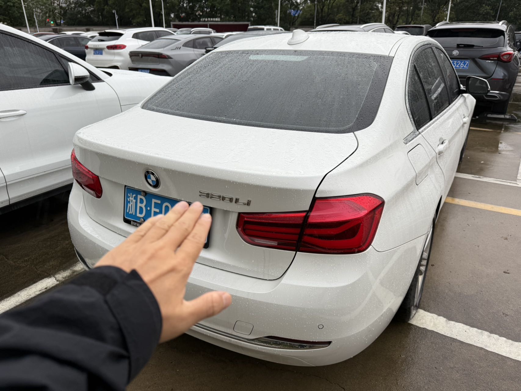 BMW 3 Series 2017 #8 BMW 3 Series 2017 car image #8
