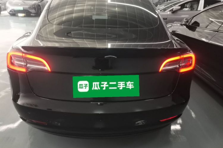 Tesla Model 3 2021 #6 Tesla Model 3 2021 car image #6