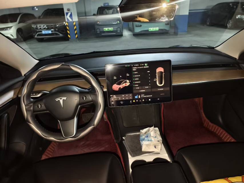 Tesla Model 3 2021 imagem de carro #4