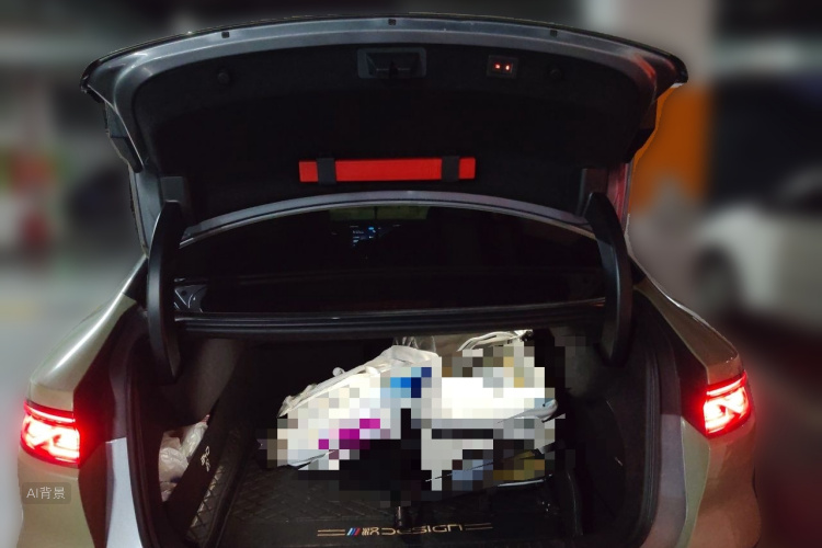 BYD Han 2022 car image #21