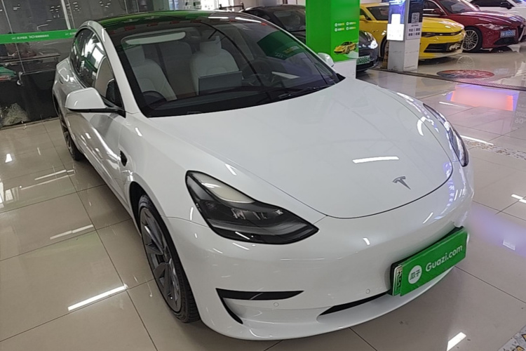 Tesla Model 3 2022 car image #4