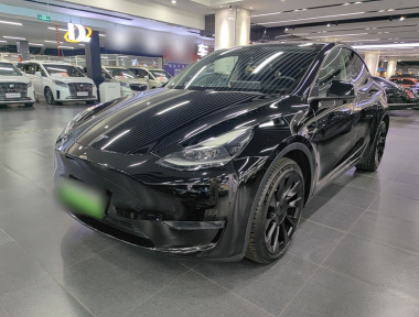 Tesla Model Y 2021 Tesla Model Y 2021 car image