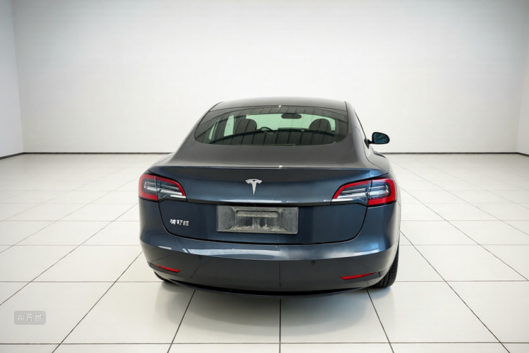 Tesla Model 3 2020 car image #6