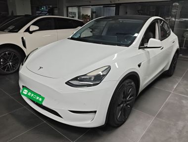 Tesla Model Y 2021 Tesla Model Y 2021 car image