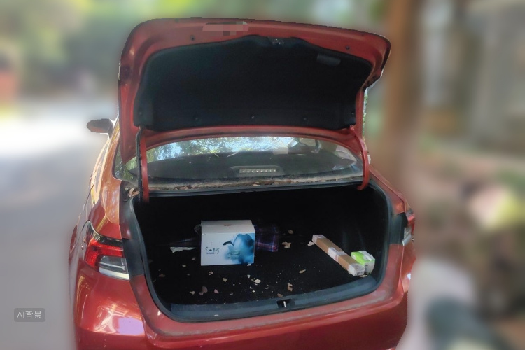 Toyota Corolla 2019 car image #21