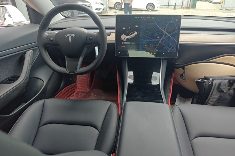 Tesla Model 3 2020 car image #15