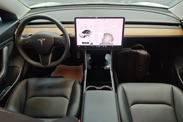 Tesla Model 3 2020 #10 Tesla Model 3 2020 immagine di auto #10