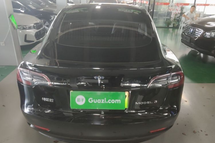 Tesla Model 3 2020 car image #6