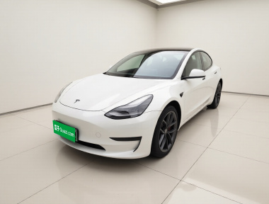 Tesla Model 3 2021 car image 