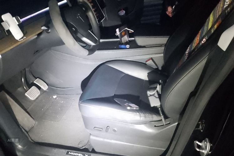 Tesla Model Y 2022 car image #17