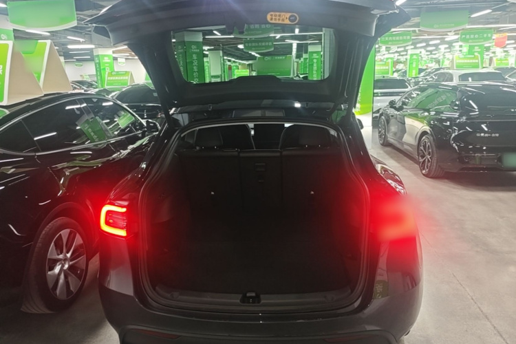 Tesla Model Y 2024 #19 Tesla Model Y 2024 car image #19
