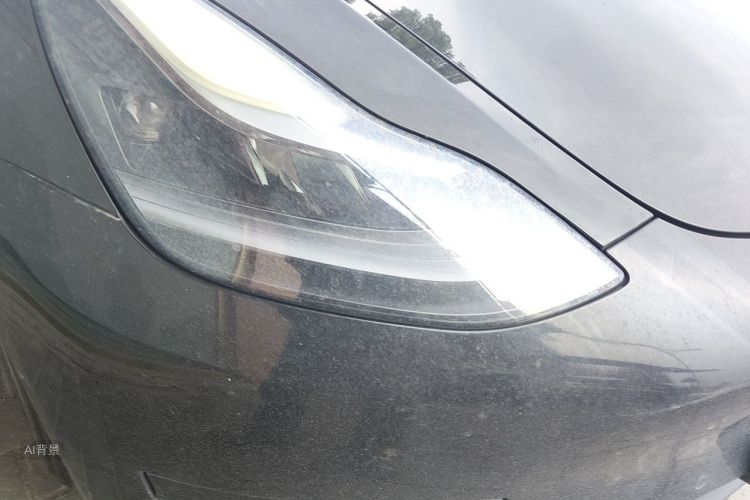 Tesla Model 3 2022 car image #8