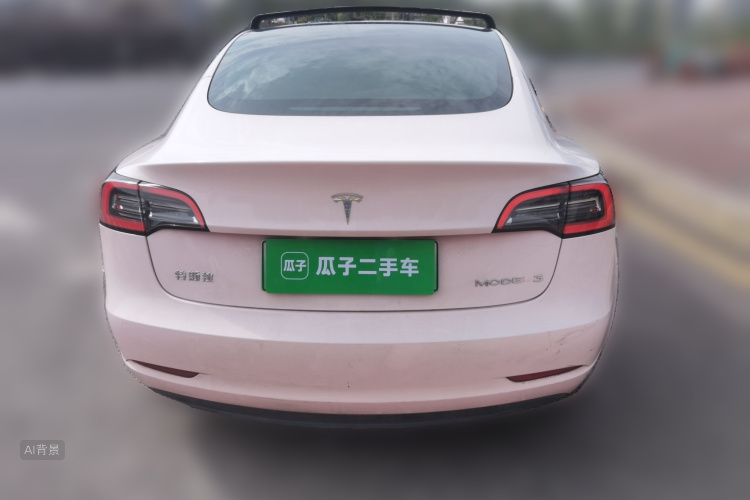 Tesla Model 3 2021 car image #6