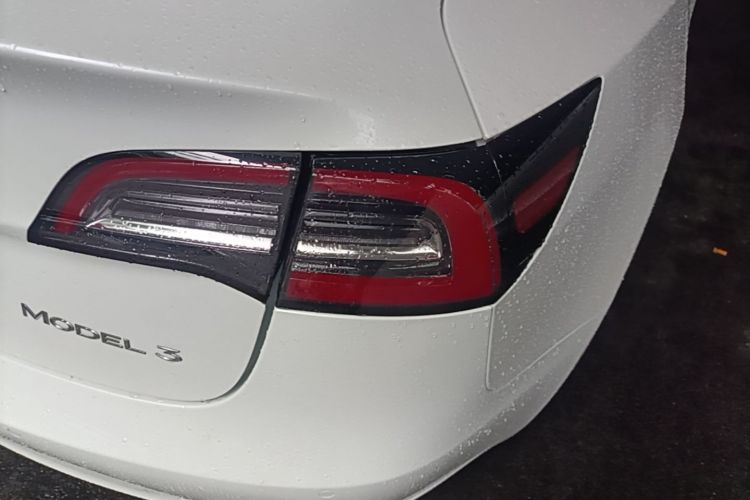 Tesla Model 3 2020 immagine di auto #8