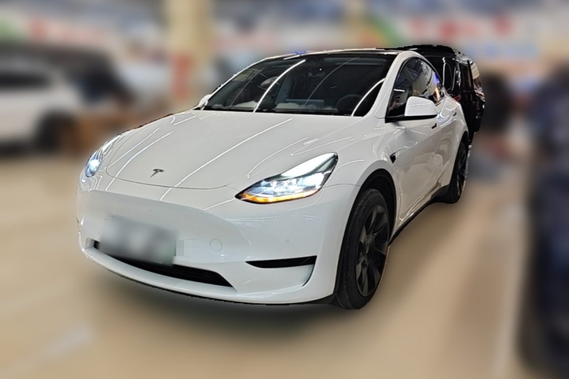 Tesla Model Y 2024 car image 
