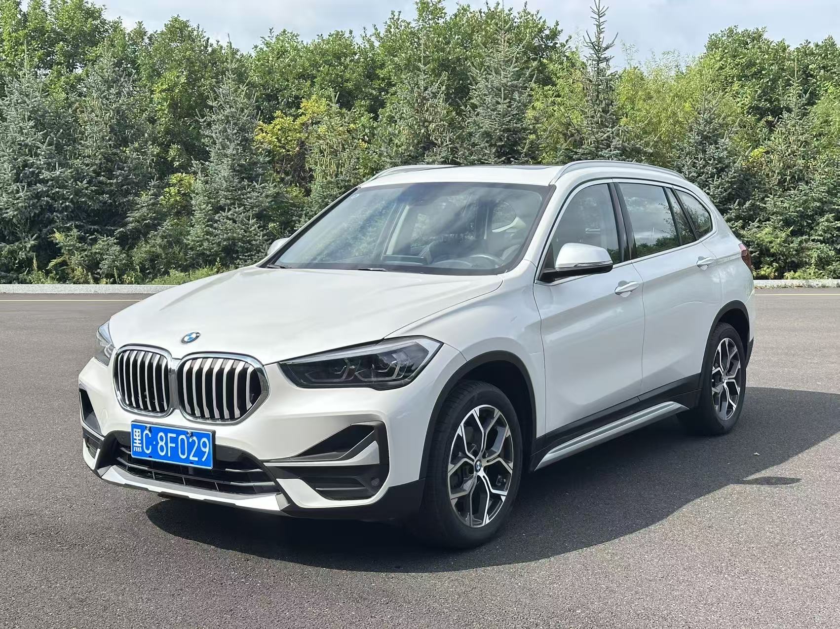 BMW X1 2022 immagine di auto 