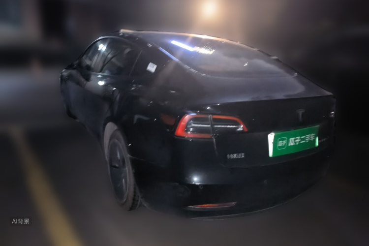 Tesla Model 3 2021 immagine di auto #5
