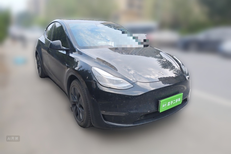 Tesla Model Y 2023 car image #4