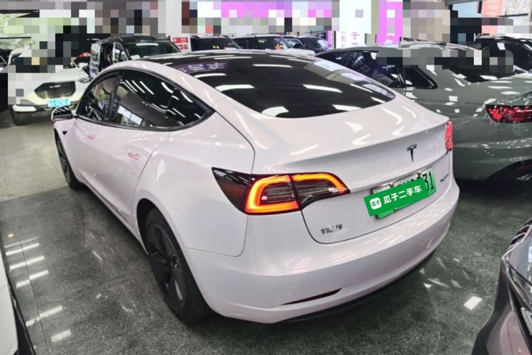 Tesla Model 3 2022 immagine di auto #7