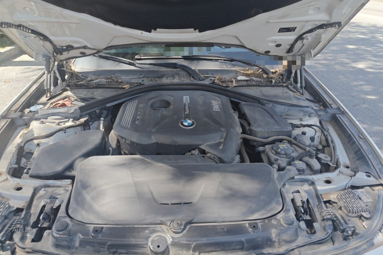 BMW 3 Series GT 2019 car image #22