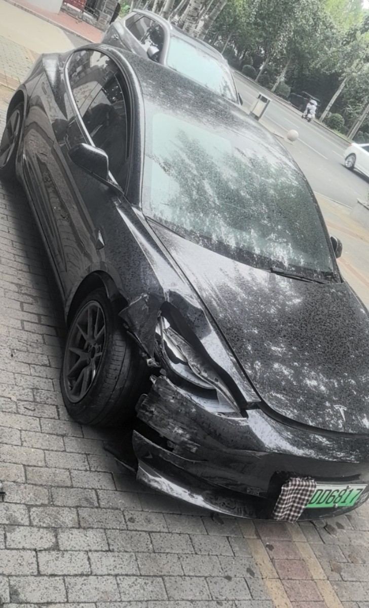 Tesla Model 3 2023 #8 Tesla Model 3 2023 car image #8