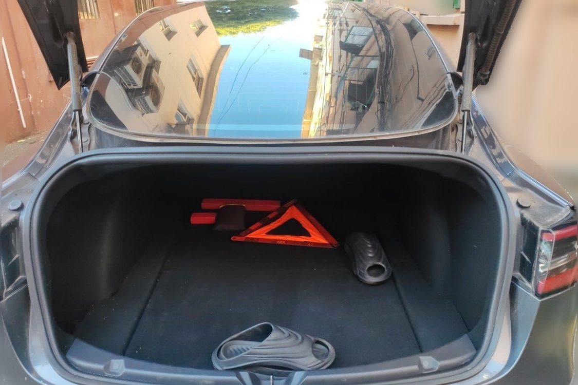 Tesla Model 3 2020 car image #8