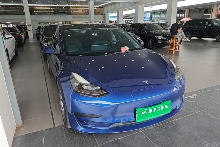 Tesla Model 3 2021 #6 Tesla Model 3 2021 car image #6