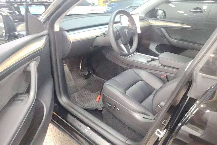 Tesla Model Y 2023 car image #16