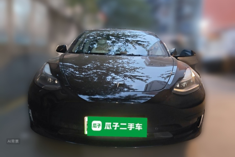 Tesla Model 3 2022 car image #3