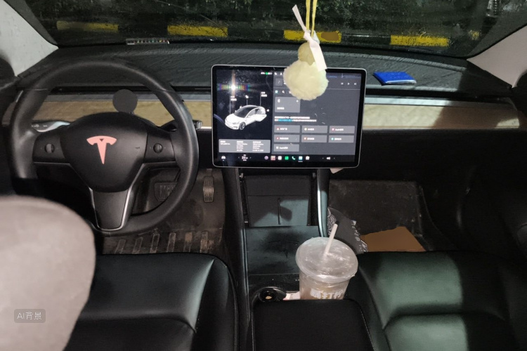 Tesla Model 3 2020 car image #11