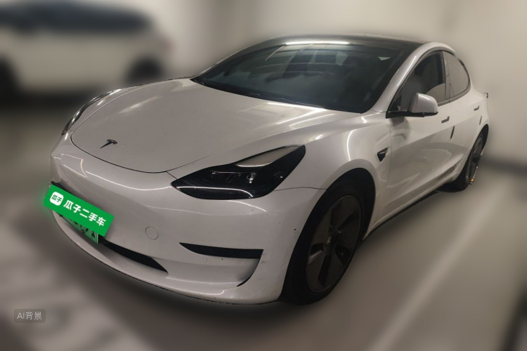 Tesla Model 3 2021 immagine di auto #2