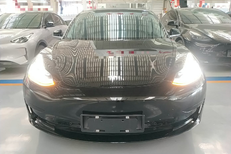 Tesla Model 3 2020 #3 Tesla Model 3 2020 car image #3