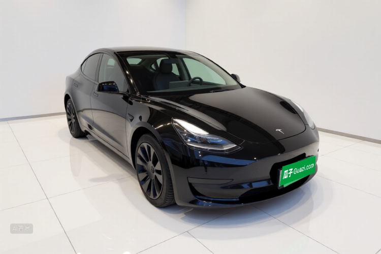 Tesla Model 3 2021 car image #4