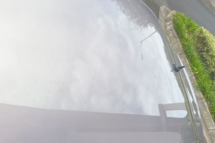 Volkswagen Bora 2022 car image #24