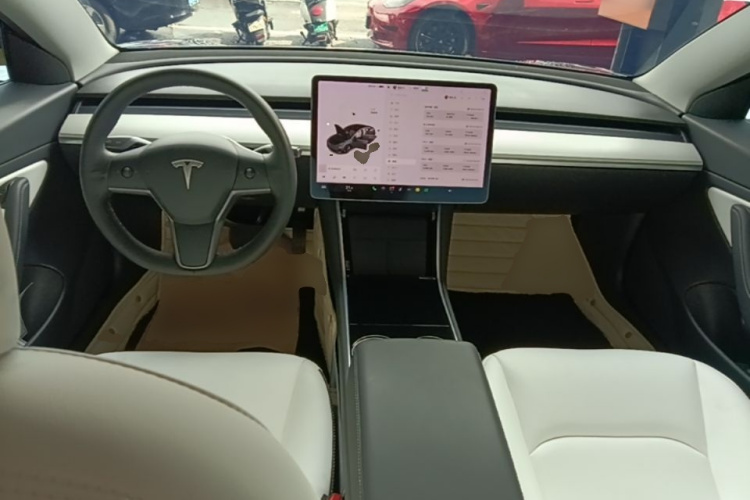 Tesla Model 3 2020 car image #10