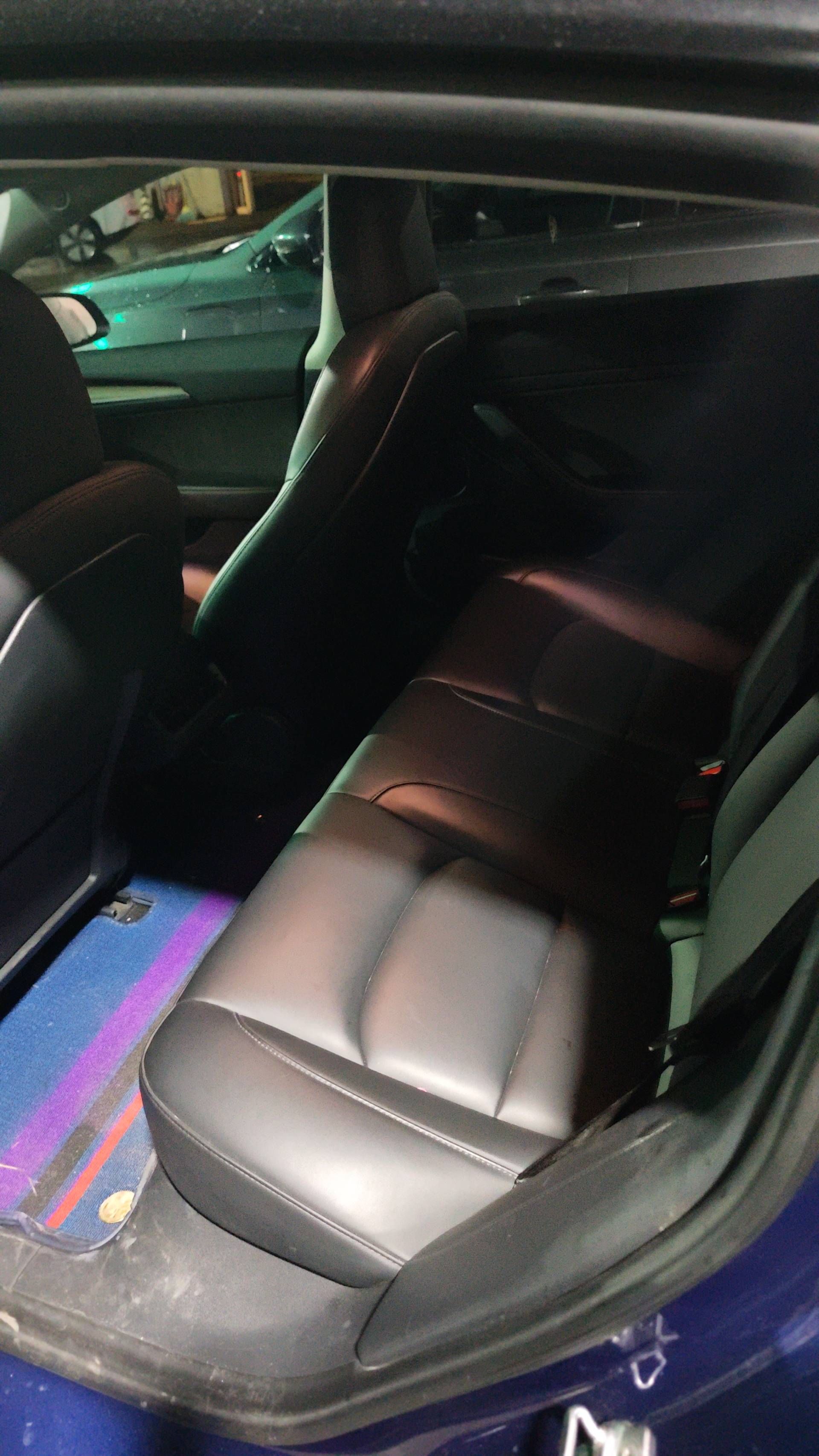 Tesla Model 3 2021 #5 Tesla Model 3 2021 car image #5