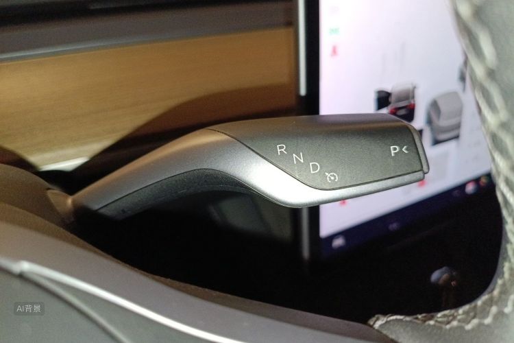 Tesla Model Y 2021 car image #16