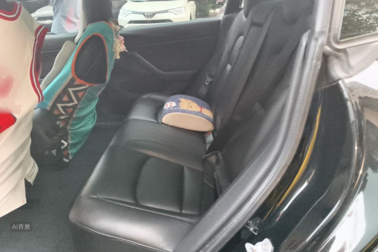 Tesla Model 3 2020 car image #19