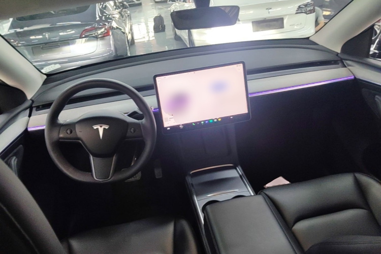Tesla Model Y 2024 car image #10