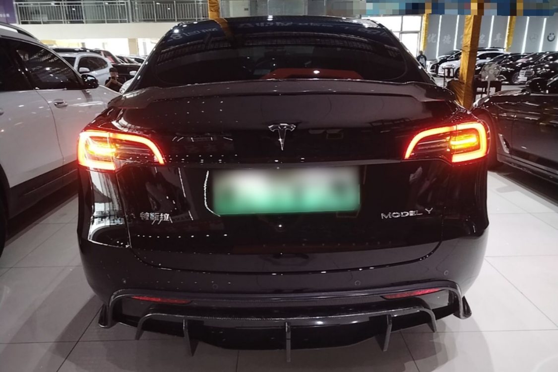 Tesla Model Y 2023 car image #6